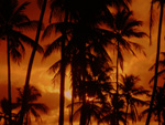 Um maravilhoso pr-do-sol, em Guaibim (BA)