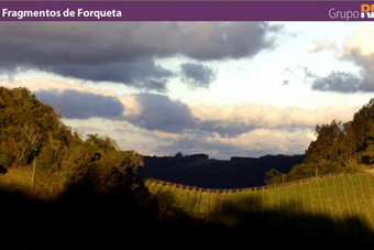 Fragmentos de Forqueta