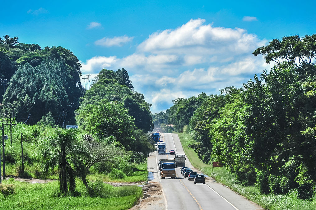 Duplicação da BR-280 está praticamente parada, mostra análise da FIESC