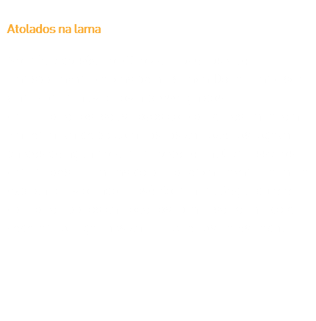 Atolados na lama
No início do século 20, os carroceiros que transportavam cargas pela Estrada Dona Francisca viam com maus olhos a presença dos caminhoneiros, seus novos concorrentes na tarefa. Na tentativa de boicotá-los, os carroceiros jogavam baldes de água no caminho de terra. Com isso, os caminhões, um atrás do outro, encalhavam na lama, explica o historiador José Kormann. Segundo ele, com o tempo, os carroceiros foram se retraindo e cederam o lugar aos caminhoneiros na estrada. 