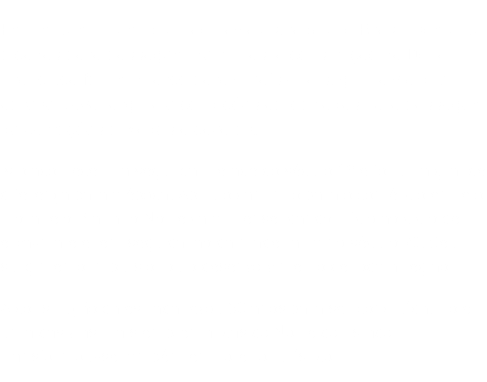 Em um tempo em que não havia estradas no Brasil, somente picadas para passagem de mulas, a construção da Dona Francisca foi um marco para o País — a segunda via que apresentava largura e condições apropriadas para passagem de carroções puxados a cavalos. Isto aconteceu na segunda metade do século 19 e foi uma grande diferença para a época. Abriu o caminho para o comércio entre o litoral e o Planalto Norte catarinense, dando início ao ciclo de erva-mate e, em seguida, ao da madeira, já no século 20. Seu surgimento impulsionou o desenvolvimento de toda a região. A construção da estrada levou 30 anos para ser concluída. Hoje, uma das vias mais emblemáticas do Norte do Estado, transformou-se também em roteiro turístico. 