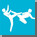 Taekwondo