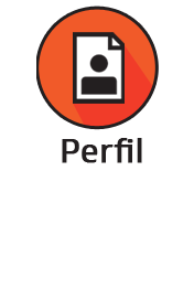 Perfil
