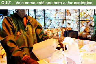 QUIZ: veja como está seu bem-estar ecológico
