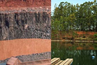 Antes e depois: o Rincão Gaia, de José Lutzenberger 