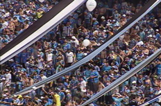 Reprodu&ccedil;&atilde;o&nbsp;/&nbsp;