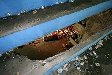  WELTON ARAUJO &nbsp;/&nbsp;Ag. A Tarde/EFE 