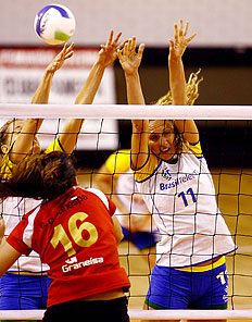 Wander Roberto&nbsp;/&nbsp;VIPCOMM