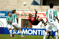 Ricardo Wolffenb&uuml;ttel&nbsp;/&nbsp;