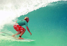 Nilton Santos, Divulga&ccedil;&atilde;o&nbsp;/&nbsp;