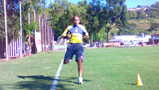 Hector Werlang &nbsp;/&nbsp;