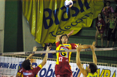  A. C. Koldeway &nbsp;/&nbsp;