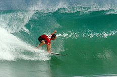 Ivan Storti, Divulga&ccedil;&atilde;o&nbsp;/&nbsp;