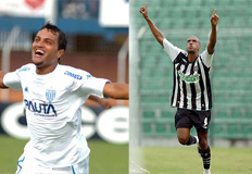 Divulga&ccedil;&atilde;o&nbsp;/&nbsp;