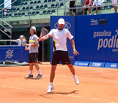 Divulga&ccedil;&atilde;o&nbsp;/&nbsp;