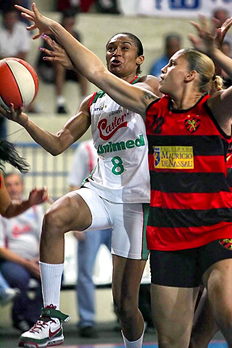 Gaspar N&oacute;brega, Divulga&ccedil;&atilde;o &nbsp;/&nbsp;