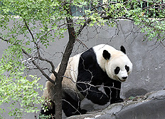 Lu Chuanquan, Xinhua &nbsp;/&nbsp;