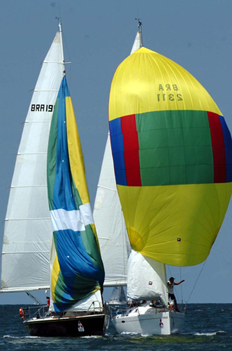 Divulga&ccedil;&atilde;o&nbsp;/&nbsp;