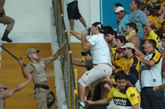 Fl&aacute;vio Neves&nbsp;/&nbsp;