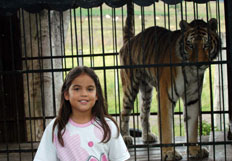 Marina Chiapinotto, Especial  &nbsp;/&nbsp;