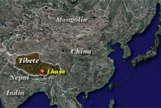 Reprodu&ccedil;&atilde;o&nbsp;/&nbsp;