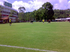 Amauri Knevitz  &nbsp;/&nbsp;