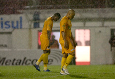 Ricardo Wolffenbuttel &nbsp;/&nbsp;