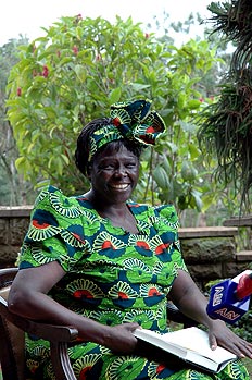 Lin Zhishen, Xinhua&nbsp;/&nbsp;