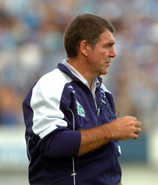  Porthus Junior&nbsp;/&nbsp;