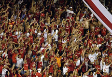 Jefferson Botega&nbsp;/&nbsp;