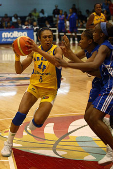 Gaspar N&oacute;brega, divulga&ccedil;&atilde;o &nbsp;/&nbsp;