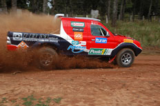 Divulga&ccedil;&atilde;o&nbsp;/&nbsp;