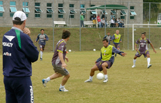 Nereu de Almeida&nbsp;/&nbsp;