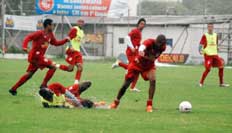 Francieli Rebelatto, Especial&nbsp;/&nbsp;