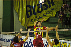 Koldeway AC, Banco de Dados - 08/02/2008&nbsp;/&nbsp;