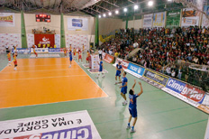 Roberto Scola&nbsp;/&nbsp;