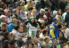 Ricardo Wolffenbuttel&nbsp;/&nbsp;