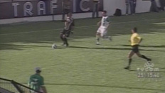 Reprodu&ccedil;&atilde;o, TV COM&nbsp;/&nbsp;