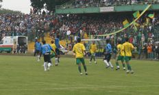 Adair Sobczak, Especial&nbsp;/&nbsp;