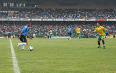 Adair Sobczak, Especial&nbsp;/&nbsp;