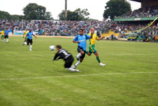 Adair Sobczak, Especial&nbsp;/&nbsp;