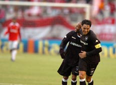  Fernando Gomes &nbsp;/&nbsp;