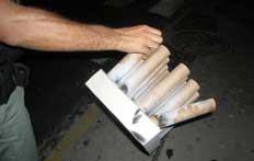 Guilherme Fister&nbsp;/&nbsp;