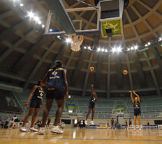 Alexandre Vidal, divulga&ccedil;&atilde;o &nbsp;/&nbsp;